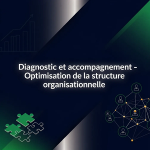 Diagnostic et accompagnement - Optimisation de la structure organisationnelle