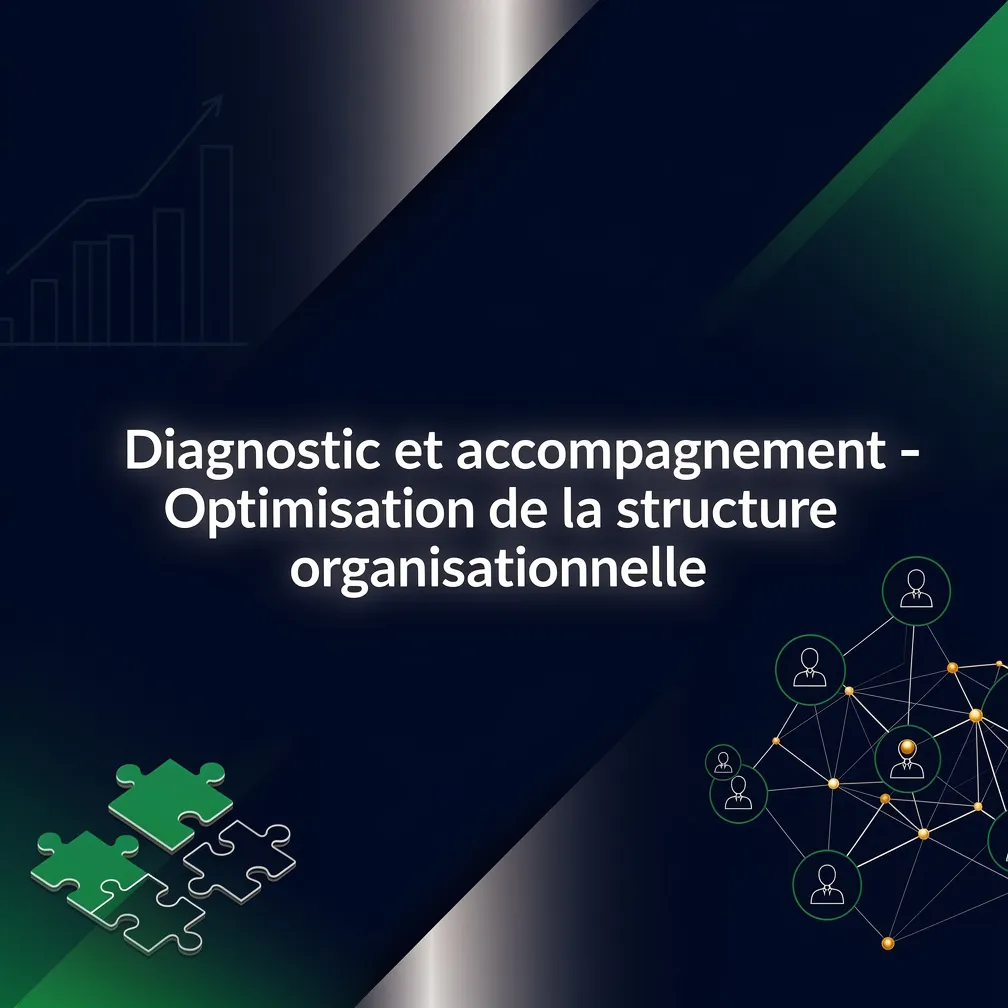 Diagnostic et accompagnement - Optimisation de la structure organisationnelle