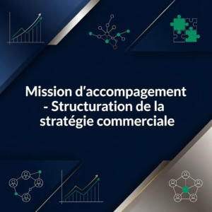 Mission d'accompagnement - Structuration de la stratégie commerciale