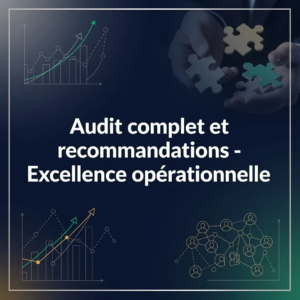 Audit complet et recommandations - Excellence opérationnelle