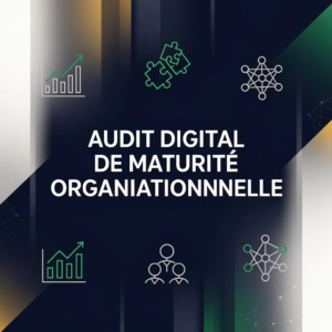 Audit digital de maturité organisationnelle