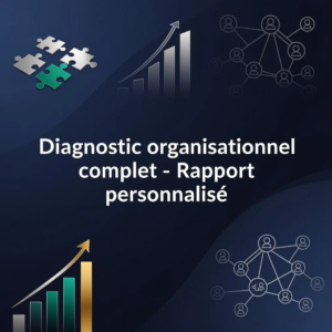 Diagnostic organisationnel complet - Rapport personnalisé